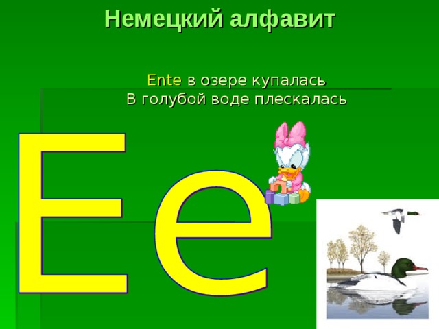 Немецкий алфавит Ente  в озере купалась  В голубой воде плескалась 