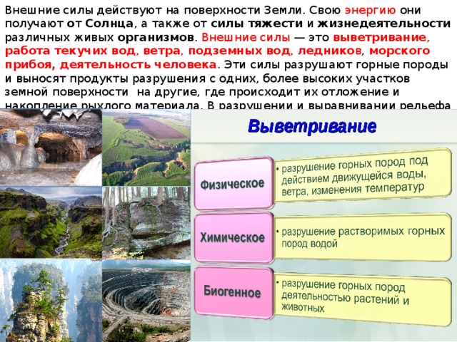Внешние силы действуют на поверхности Земли. Свою энергию они  получают о т Солнца , а также от силы тяжести и жизнедеятельности различных живых организмов . Внешние силы  — это выветривание , работа текучих вод , ветра , подземных вод , леднико в , морского прибоя, деятельность человека . Эти силы разрушают горные породы и выносят продукты разрушения с одних, более высоких участков земной поверхности на другие, где происходит их отложение и накопление рыхлого материала. В разрушении и выравнивании рельефа на суше особенно велика роль выветривания. 