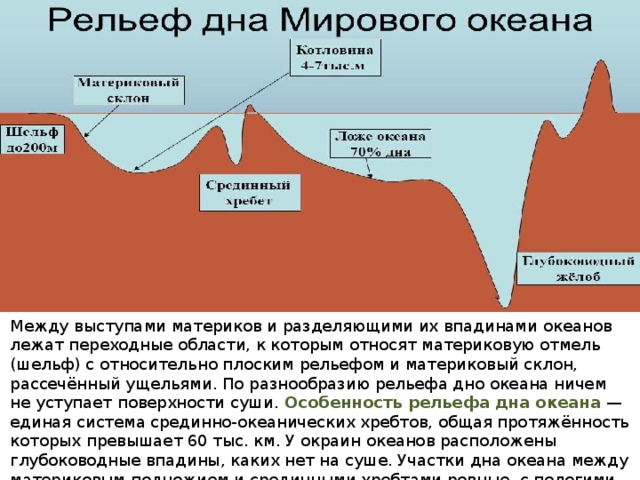 Между выступами материков и разделяющими их впадинами океанов лежат переходные области, к которым относят материковую отмель (шельф) с относительно плоским рельефом и материковый склон, рассечённый ущельями. По разнообразию рельефа дно океана ничем не уступает поверхности суши. Особенность рельефа дна океана  — единая система срединно-океанических хребтов, общая протяжённость которых превышает 60 тыс. км. У окраин океанов расположены глубоководные впадины, каких нет на суше. Участки дна океана между материковым подножием и срединными хребтами ровные, с пологими холмами. Это океанические равнины (котловины). 