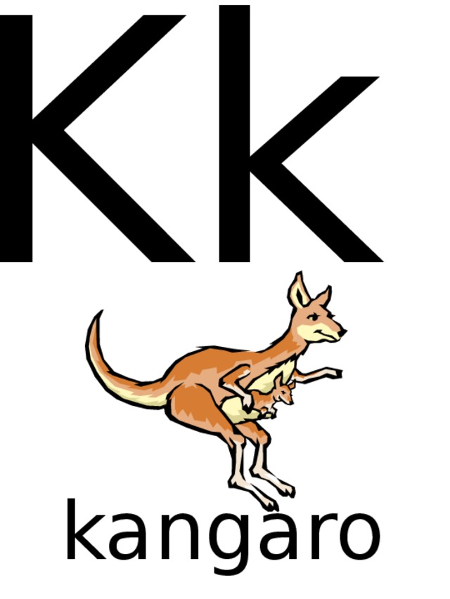 Kk kangaroo 
