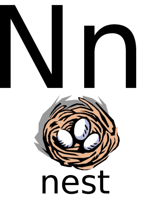 Nn nest 