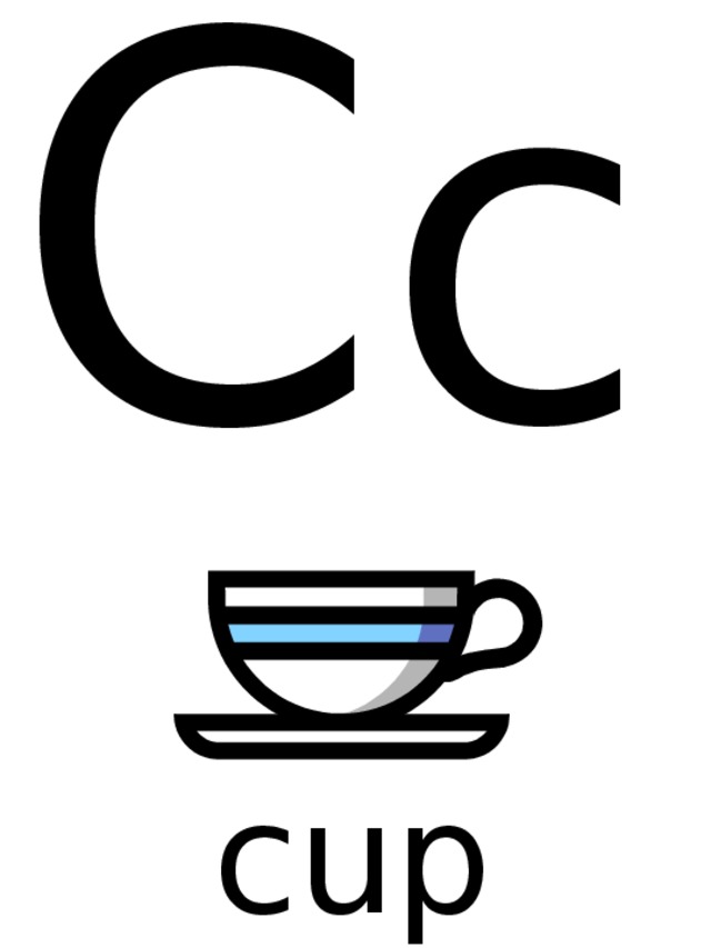 C c cup 
