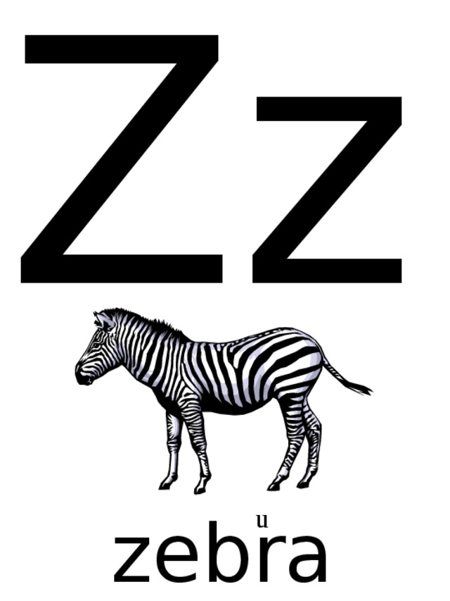Zz u zebra 
