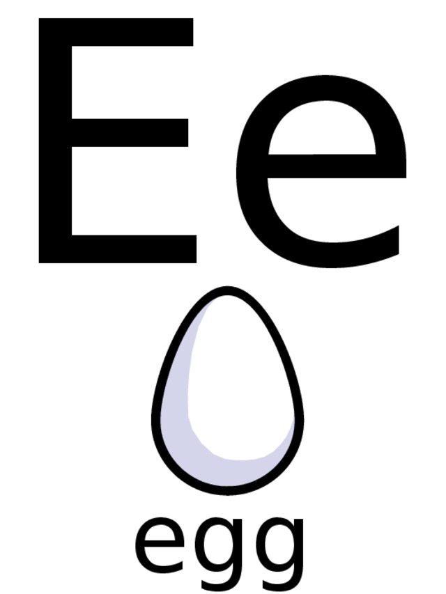 Ee egg 