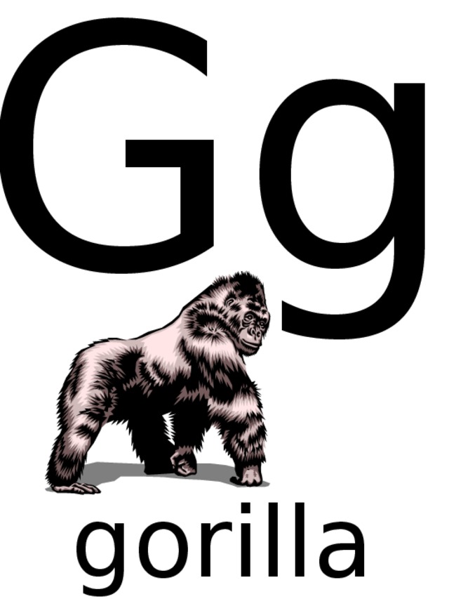 Gg gorilla 