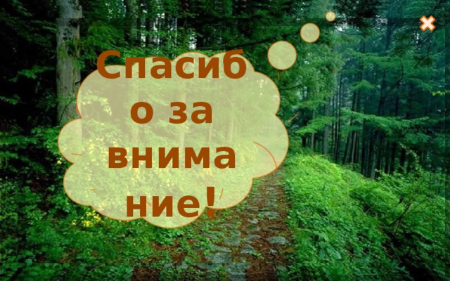 Спасибо за внимание ! 