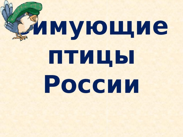 Зимующие птицы России   