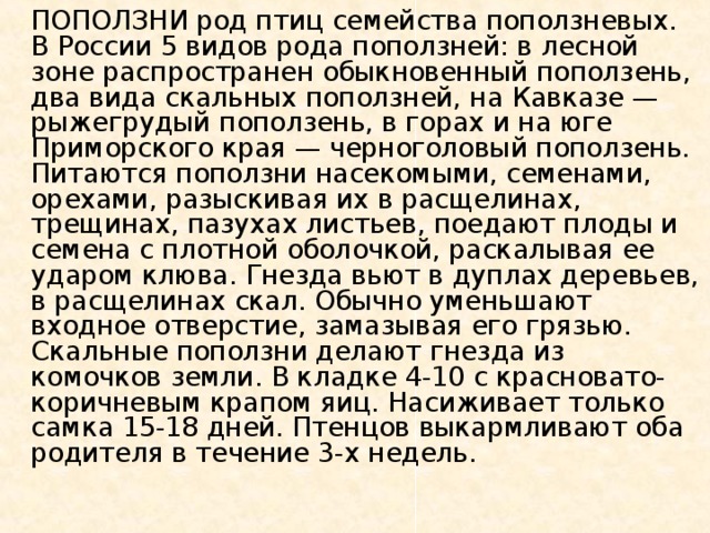  ПОПОЛЗНИ род птиц семейства поползневых. В России 5 видов рода поползней: в лесной зоне распространен обыкновенный поползень, два вида скальных поползней, на Кавказе — рыжегрудый поползень, в горах и на юге Приморского края — черноголовый поползень. Питаются поползни насекомыми, семенами, орехами, разыскивая их в расщелинах, трещинах, пазухах листьев, поедают плоды и семена с плотной оболочкой, раскалывая ее ударом клюва. Гнезда вьют в дуплах деревьев, в расщелинах скал. Обычно уменьшают входное отверстие, замазывая его грязью. Скальные поползни делают гнезда из комочков земли. В кладке 4-10 с красновато-коричневым крапом яиц. Насиживает только самка 15-18 дней. Птенцов выкармливают оба родителя в течение 3-х недель.   