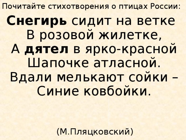 Почитайте стихотворения о птицах России: Снегирь сидит на ветке  В розовой жилетке,  А дятел в ярко-красной  Шапочке атласной.  Вдали мелькают сойки –  Синие ковбойки.    (М.Пляцковский) 