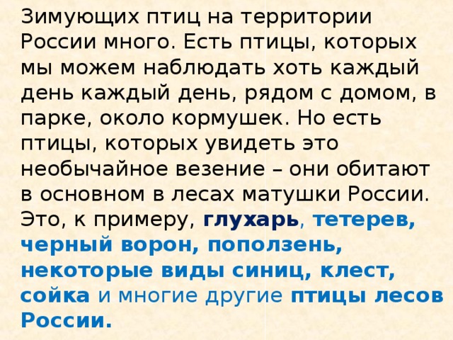   Зимующих птиц на территории России много. Есть птицы, которых мы можем наблюдать хоть каждый день каждый день, рядом с домом, в парке, около кормушек. Но есть птицы, которых увидеть это необычайное везение – они обитают в основном в лесах матушки России. Это, к примеру, глухарь , тетерев, черный ворон, поползень, некоторые виды синиц, клест, сойка и многие другие птицы лесов России.  