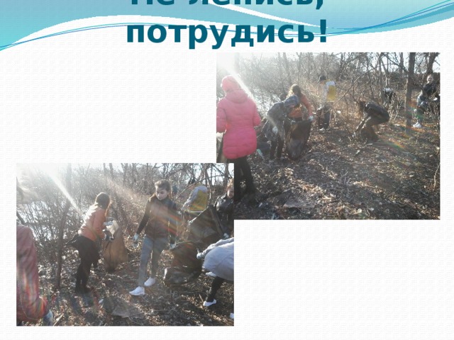 Не ленись, потрудись! 