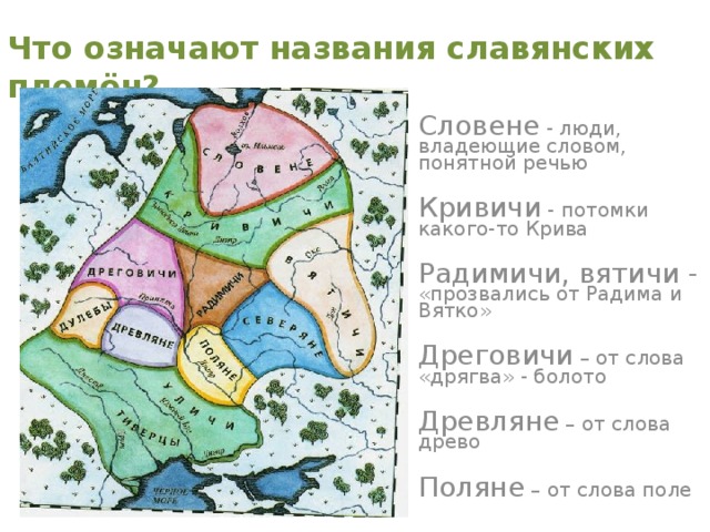 Что означают названия славянских племён? Словене - люди, владеющие словом, понятной речью Кривичи - потомки какого-то Крива Радимичи, вятичи - «прозвались от Радима и Вятко» Дреговичи – от слова «дрягва» - болото Древляне – от слова древо Поляне – от слова поле 
