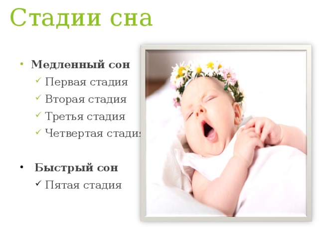 Стадии сна Медленный сон Первая стадия Вторая стадия Третья стадия Четвертая стадия  Первая стадия Вторая стадия Третья стадия Четвертая стадия   Быстрый сон Пятая стадия Пятая стадия 
