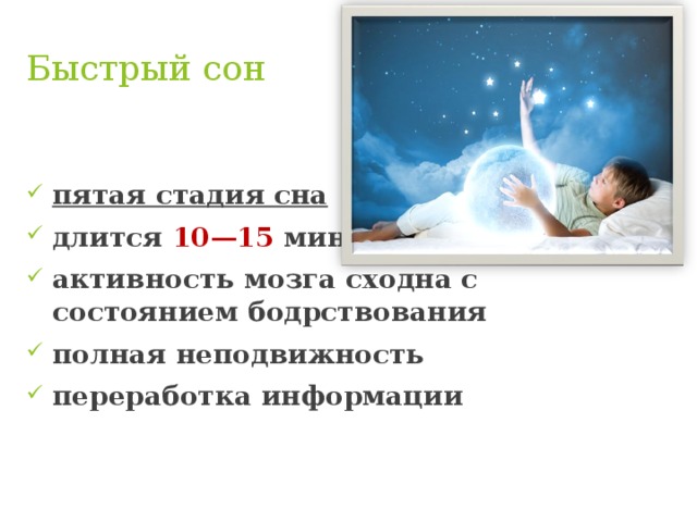 Быстрый сон пятая стадия сна длится 10—15 минут активность мозга сходна с состоянием бодрствования  полная неподвижность переработка информации 