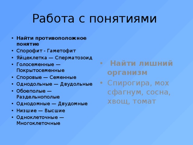 Работа с понятиями Найти противоположное понятие  Спорофит - Гаметофит Яйцеклетка — Сперматозоид Голосеменные — Покрытосеменные Споровые — Семенные Однодольные — Двудольные Обоеполые — Раздельнополые Однодомные — Двудомные Низшие — Высшие Одноклеточные — Многоклеточные  Найти лишний организм Спирогира, мох сфагнум, сосна, хвощ, томат 