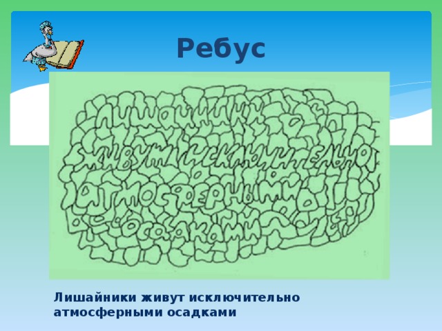 Ребус Лишайники живут исключительно атмосферными осадками 