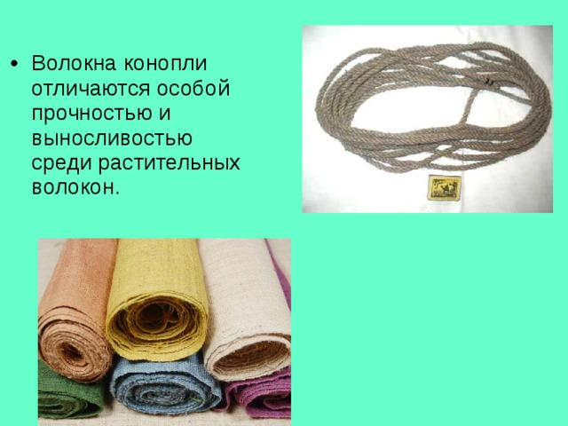 Волокна конопли отличаются особой прочностью и выносливостью среди растительных волокон. 