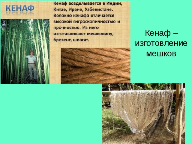 Кенаф – изготовление мешков 