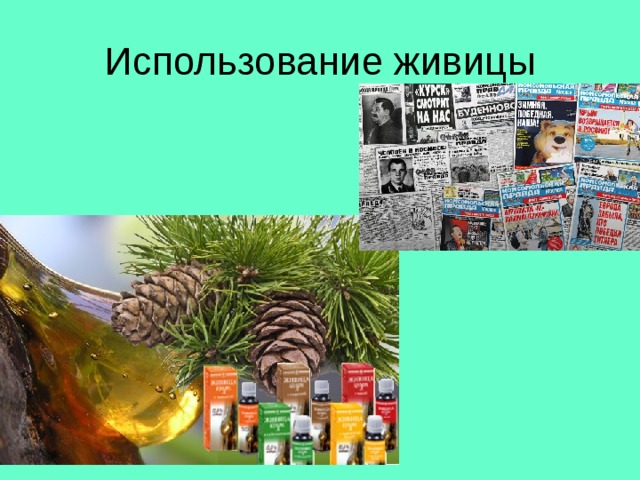 Использование живицы 