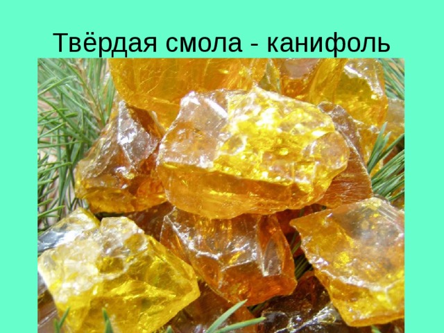 Твёрдая смола - канифоль 