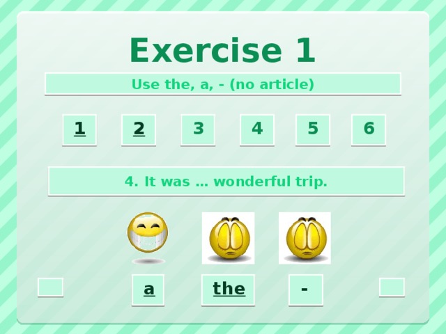 Exercise 1 Use the, a, - (no article) 2  3  4  5  6  1  4. It was … wonderful trip. a  -  the