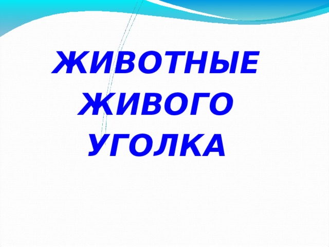 ЖИВОТНЫЕ ЖИВОГО УГОЛКА    
