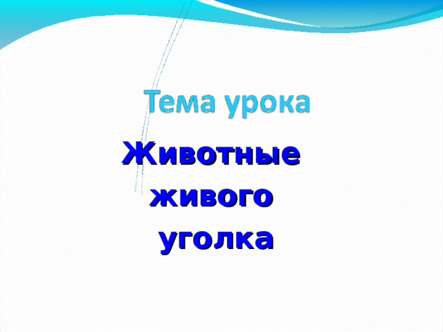 Животные живого уголка 