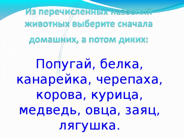 Попугай, белка, канарейка, черепаха, корова, курица, медведь, овца, заяц, лягушка. 