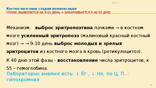 9/21/17  Костно-мозговая стадия компенсации  Сроки: выявляется на 9-10 день → заканчивается к 40-55 дню   Механизм: выброс эритропоэтина почками → в костном мозге усиленный эритропоэз (малиновый красный костный мозг) → → 9-10 день выброс молодых и зрелых эритроцитов из костного мозга в кровь (ретикулоцитоз). К 40 дню этой фазы - восстановление числа эритроцитов, к 55 – гемоглобина. Лабораторно анемия есть: ↓ Ег , ↓ Нв, по Ц. П. - гипохромная  