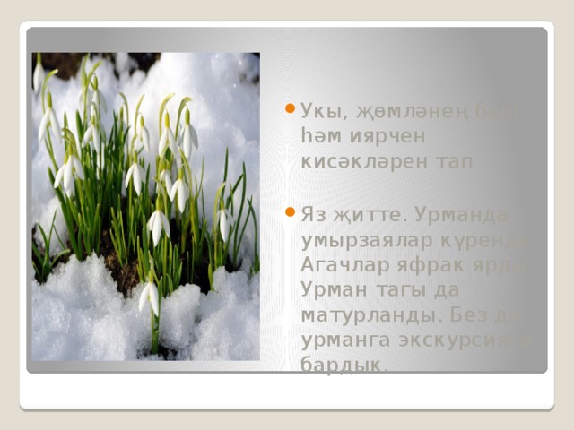 Укы, җөмләнең баш һәм иярчен кисәкләрен тап Яз җитте. Урманда умырзаялар күренде. Агачлар яфрак ярды. Урман тагы да матурланды. Без дә урманга экскурсиягә бардык. 