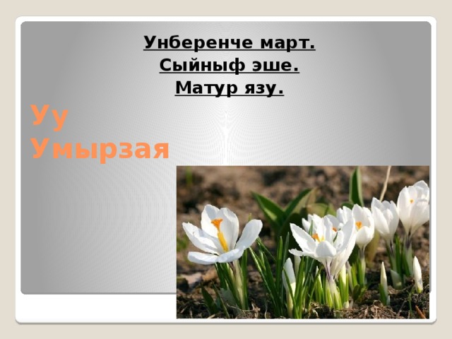 Унберенче март. Сыйныф эше. Матур язу. Уу  Умырзая 