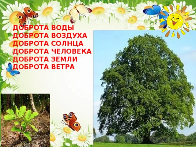 ДОБРОТА ВОДЫ ДОБРОТА ВОЗДУХА ДОБРОТА СОЛНЦА ДОБРОТА ЧЕЛОВЕКА ДОБРОТА ЗЕМЛИ ДОБРОТА ВЕТРА 