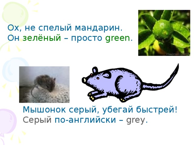 Ох, не спелый мандарин. Он зелёный – просто green . Мышонок серый, убегай быстрей! Серый по-английски – grey . 
