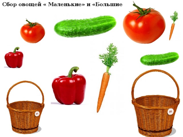 Сбор овощей « Маленькие» и «Большие» 