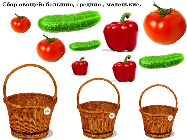 Сбор овощей: большие, средние , маленькие. 