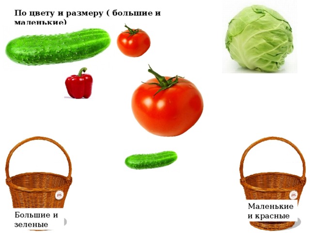 По цвету и размеру ( большие и маленькие) Маленькие и красные Большие и зеленые 