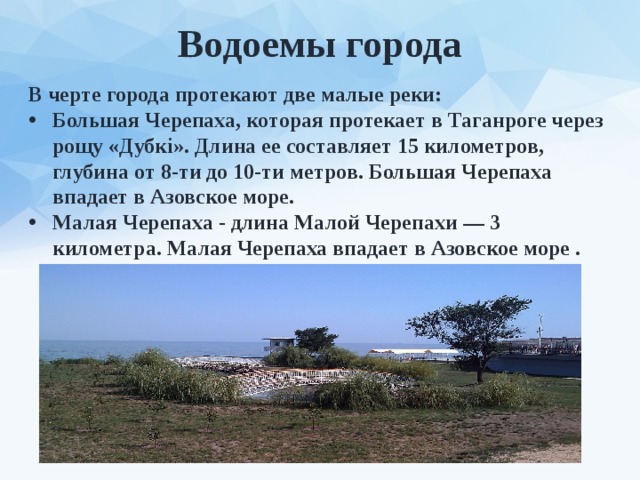 Водоемы города В черте города протекают две малые реки: Большая Черепаха, которая протекает в Таганроге через рощу «Дубкі». Длина ее составляет 15 километров, глубина от 8-ти до 10-ти метров. Большая Черепаха впадает в Азовское море. Малая Черепаха - длина Малой Черепахи — 3 километра. Малая Черепаха впадает в Азовское море . 
