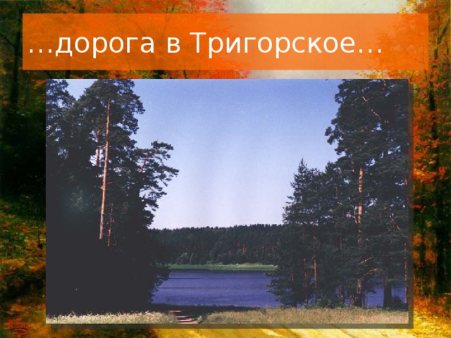 … дорога в Тригорское…