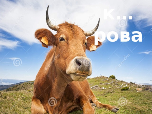 к…рова 