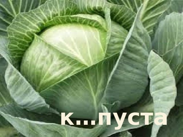 к…пуста 
