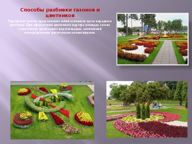 Способы разбивки газонов и цветников Партерные газоны представляют собой основную часть парадного цветника. При оформлении цветочного партера площадь газона существенно преобладает над площадью, занимаемой непосредственно цветочными композициями. 