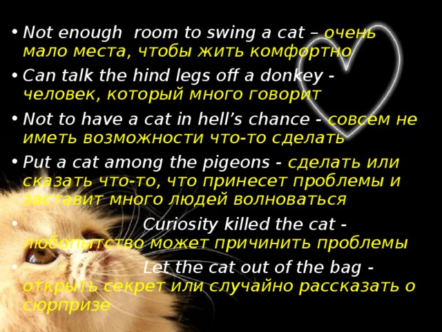 Not enough room to swing a cat – очень мало места, чтобы жить комфортно Can talk the hind legs off a donkey - человек, который много говорит Not to have a cat in hell’s chance - совсем не иметь возможности что-то сделать Put a cat among the pigeons - сделать или сказать что-то, что принесет проблемы и заставит много людей волноваться  Curiosity killed the cat - любопытство может причинить проблемы  Let the cat out of the bag - открыть секрет или случайно рассказать о сюрпризе 