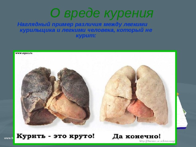 О вреде курения Наглядный пример различия между легкими курильщика и легкими человека, который не курит: 