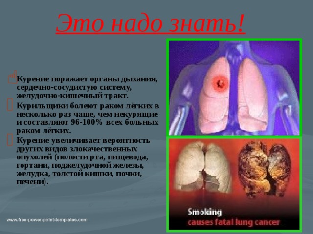 Это надо знать!    Курение поражает органы дыхания, сердечно-сосудистую систему, желудочно-кишечный тракт. Курильщики болеют раком лёгких в несколько раз чаще, чем некурящие и составляют 96-100% всех больных раком лёгких. Курение увеличивает вероятность других видов злокачественных опухолей (полости рта, пищевода, гортани, поджелудочной железы, желудка, толстой кишки, почки, печени).     