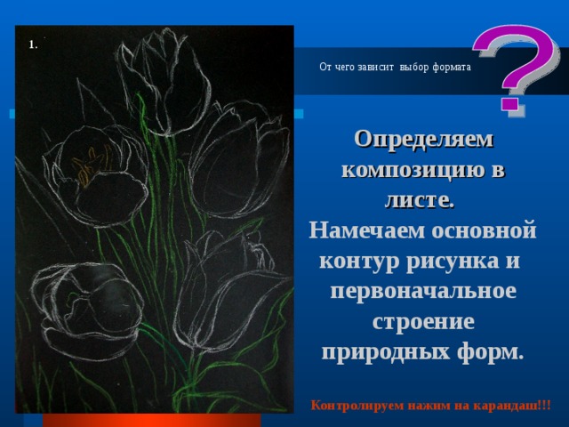1. От чего зависит выбор формата Определяем композицию в листе.  Намечаем основной контур рисунка и первоначальное  строение природных форм. Контролируем нажим на карандаш!!! 