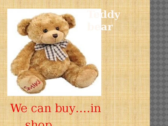 Teddy bear We can buy….in ….shop. 