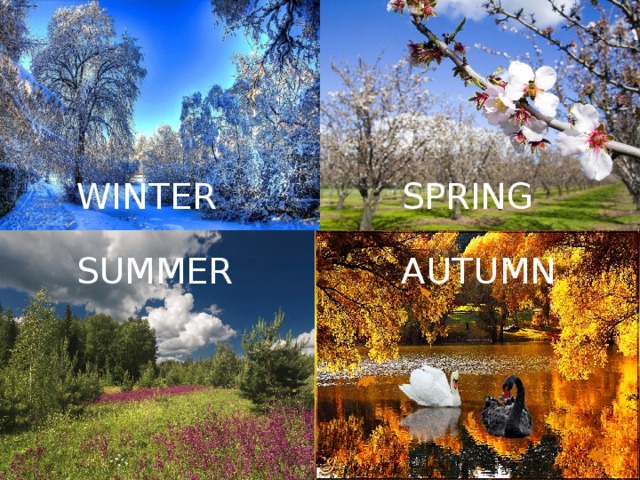WINTER SPRING SUMMER AUTUMN 