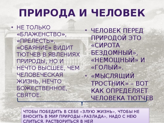 Природа и Человек не только «блаженство», «прелесть», «обаяние» видит Тютчев в явлениях природы, но и нечто высшее, чем человеческая жизнь, нечто божественное, святое. человек перед природой это «сирота бездомный», «немощный» и «голый». «Мыслящий тростник» – вот как определяет человека Тютчев Чтобы победить в себе «злую жизнь», чтобы не вносить в мир природы «разлада», надо с нею слиться, раствориться в ней 