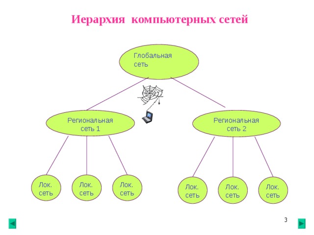 Иерархия компьютерных сетей Глобальная сеть Региональная сеть 2 Региональная сеть 1 Л ок. сеть Л ок. сеть Л ок. сеть Л ок.сеть Л ок. сеть Л ок. сеть 2 