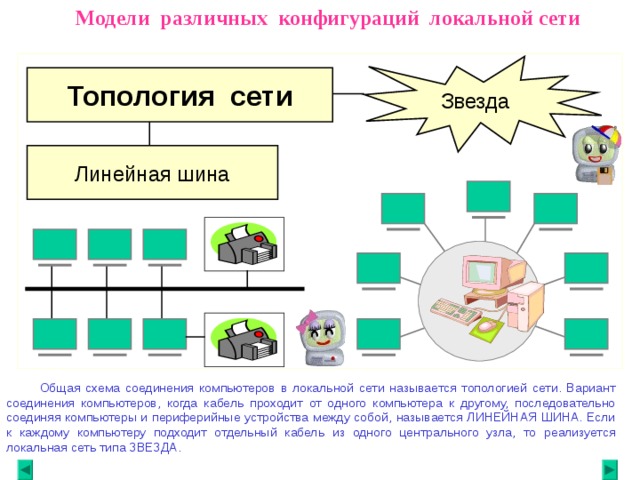  Модели различных конфигураций локальной сети Звезда Топология сети Линейная шина  Общая схема соединения компьютеров в локальной сети называется топологией сети. Вариант соединения компьютеров, когда кабель проходит от одного компьютера к другому, последовательно соединяя компьютеры и периферийные устройства между собой, называется ЛИНЕЙНАЯ ШИНА. Если к каждому компьютеру подходит отдельный кабель из одного центрального узла, то реализуется локальная сеть типа ЗВЕЗДА.  
